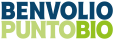 BENVOLIO